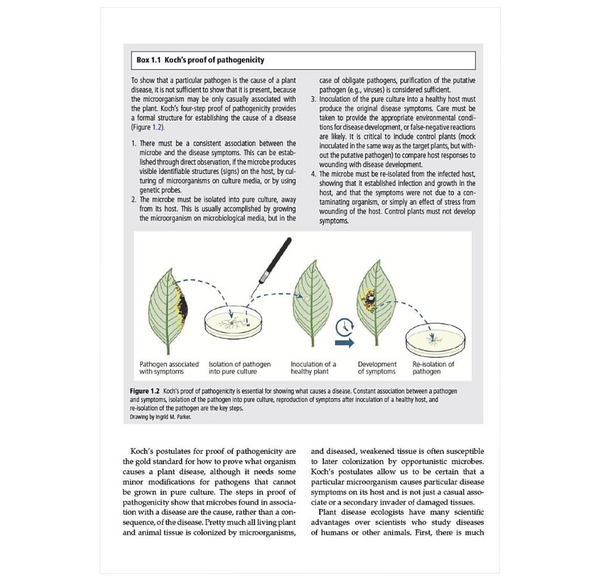 The Evolutionary Ecology of Plant Disease