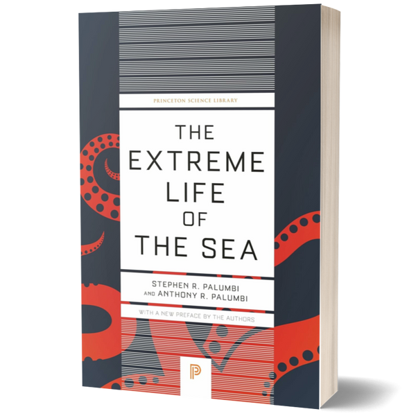 The Extreme Life of the Sea