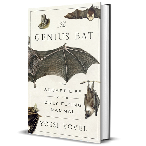 The Genius Bat: The Secret Life of the Only Flying Mammal
