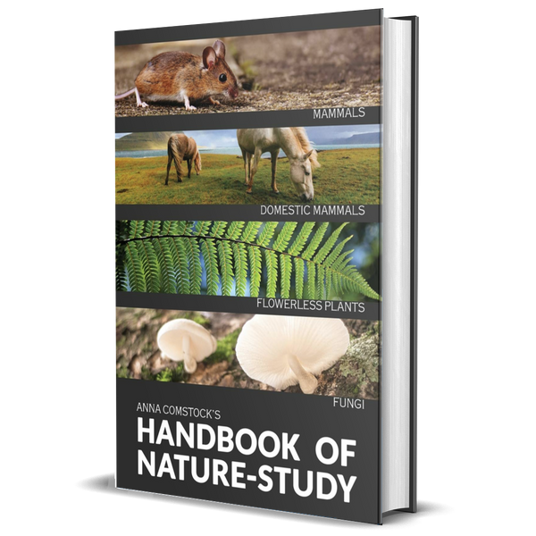 The Handbook of Nature Study in Color: Mammals and Flowerless Plants