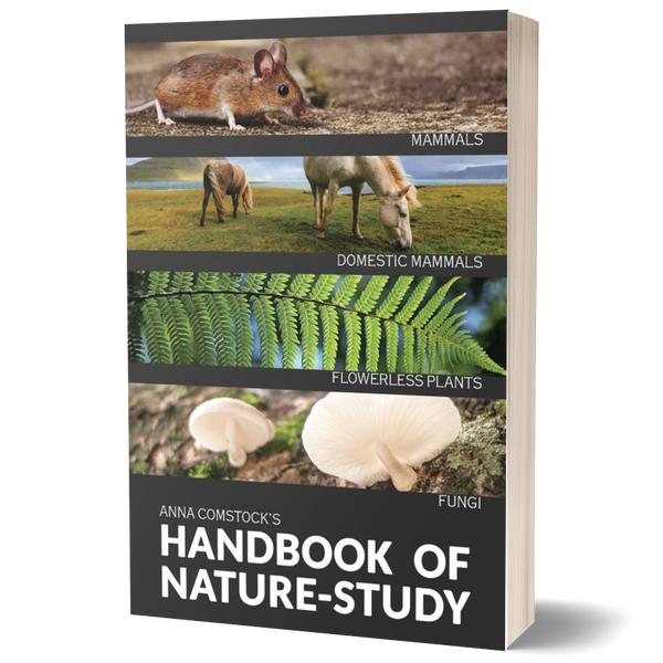 The Handbook of Nature Study in Color: Mammals and Flowerless Plants