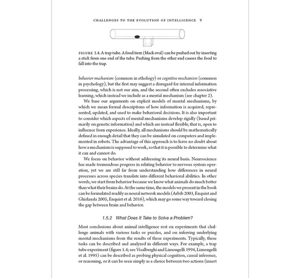 The Human Evolutionary Transition From Animal Intelligence to Culture