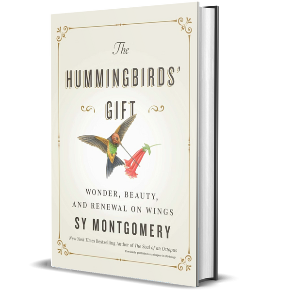 The Hummingbirds' Gift: Wonder, Beauty, and Renewal on Wings