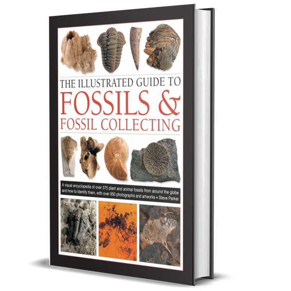 The Illustrated Guide to Fossils & Fossil Collecting: A Reference Guide to Over 375 Plant and Animal Fossils from around the Globe and How to Identify Them, with over 950 Photographs and Artworks
