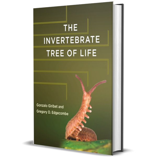 The Invertebrate Tree of Life