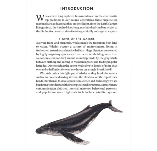 The Little Book of Whales