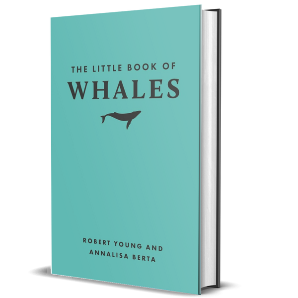 The Little Book of Whales