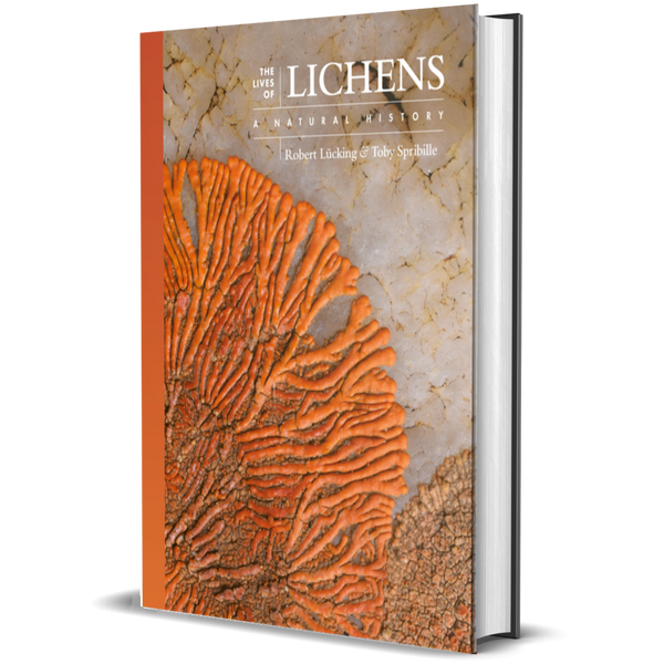 The Lives of Lichens A Natural History