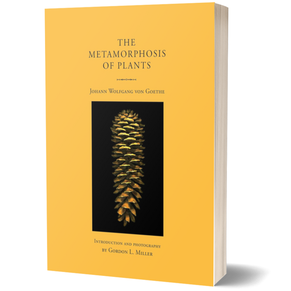 The Metamorphosis of Plants