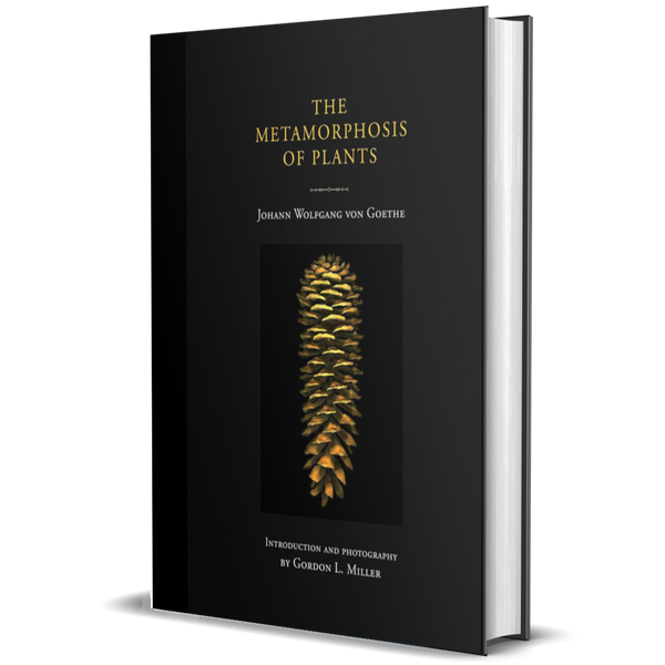 The Metamorphosis of Plants