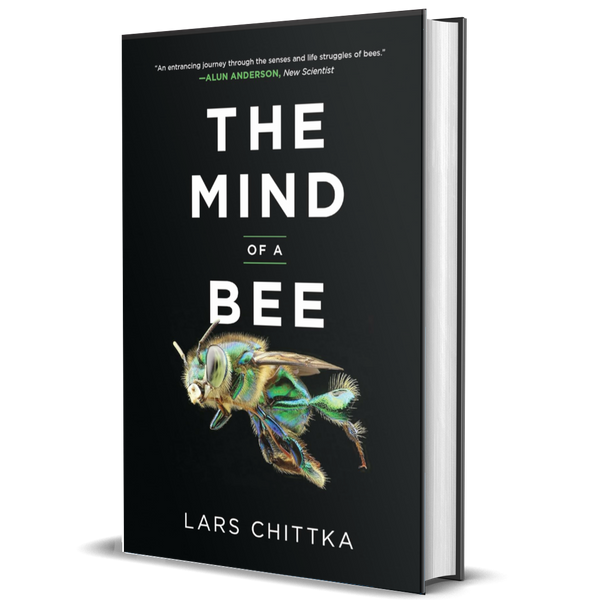 The Mind of a Bee