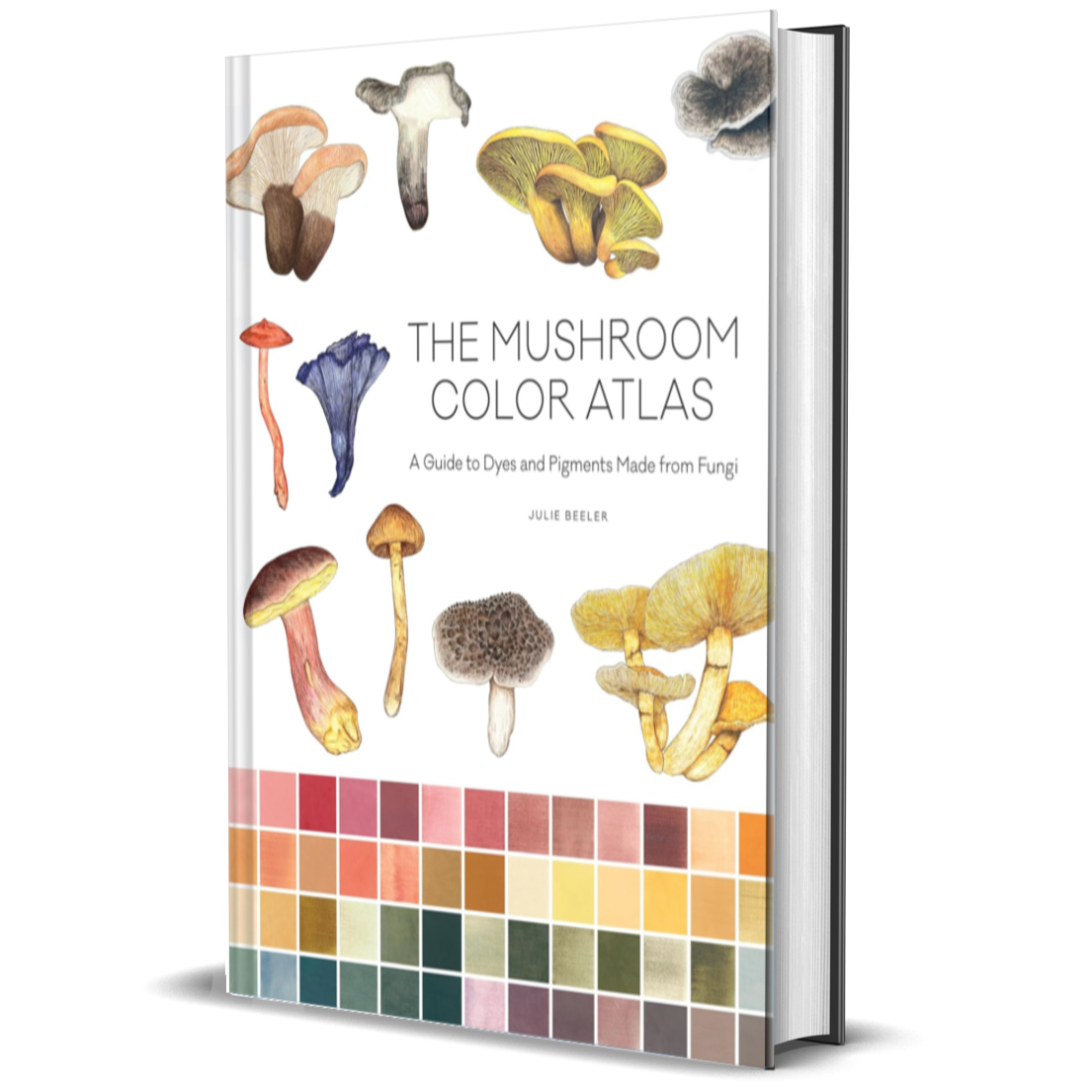 The Mushroom Color Atlas: A Guide to Dyes and Pigments Made from Fungi ...