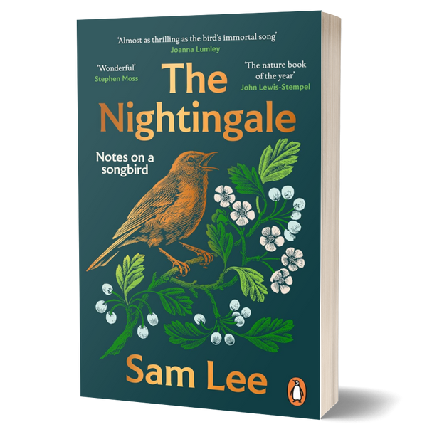 The Nightingale