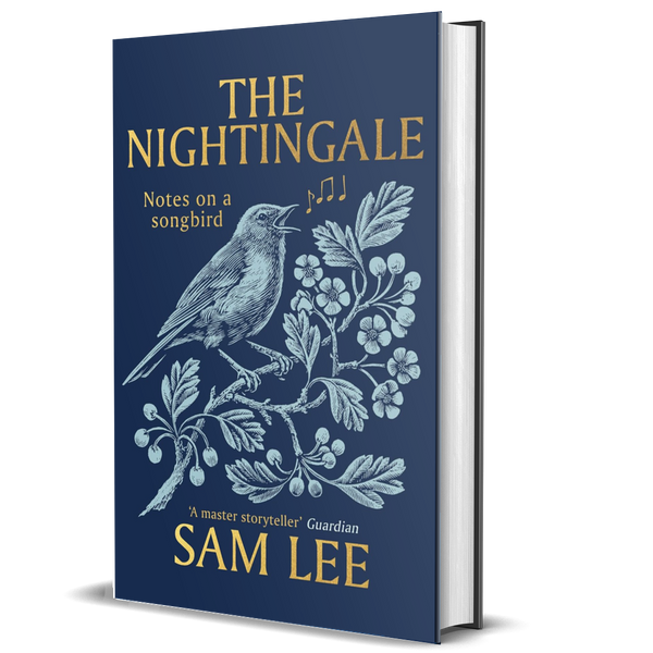 The Nightingale