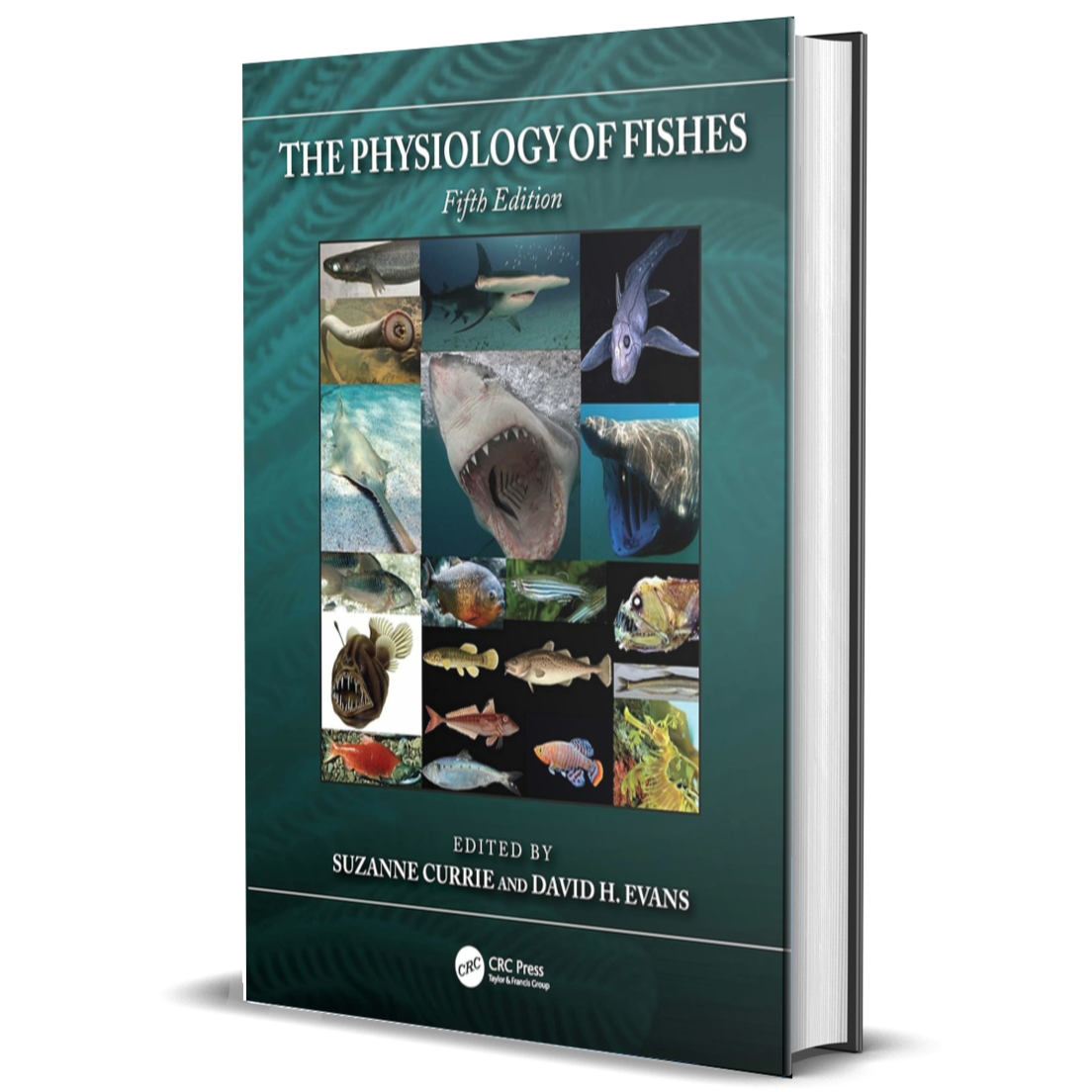 The Physiology of Fishes (CRC Marine Biology Series) BIOWEB® Colombia