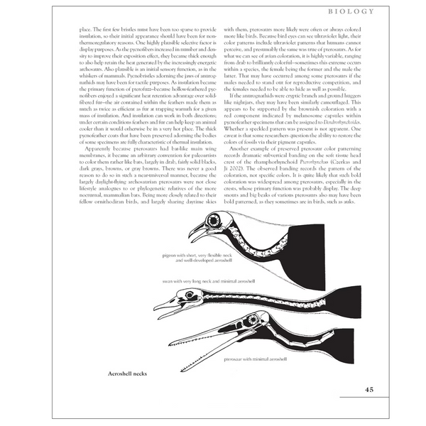 The Princeton Field Guide to Pterosaurs