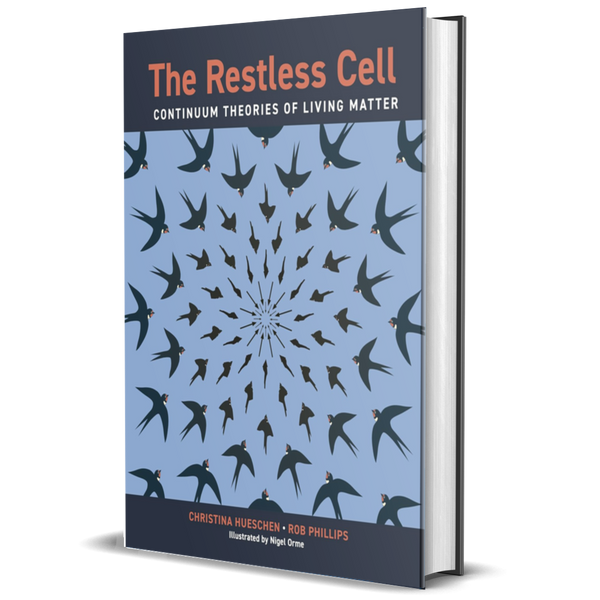 The Restless Cell: Continuum Theories of Living Matter
