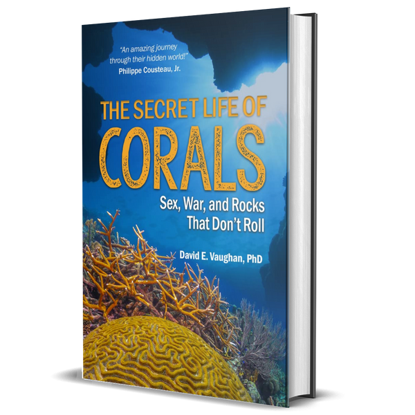 The Secret Life of Corals: sex, War and Rocks that Don’t Roll