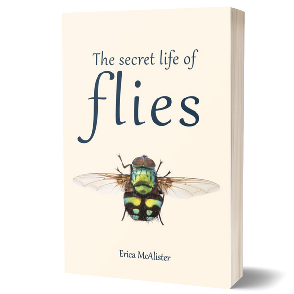 The Secret Life of Flies