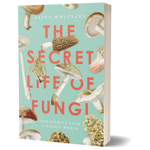 The Secret Life of Fungi: Discoveries From a Hidden World