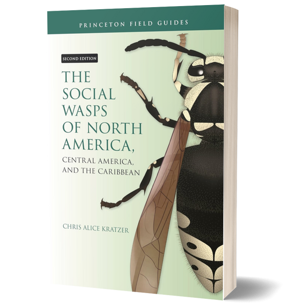 The Social Wasps of North America, Central America, and the Caribbean, Second Edition