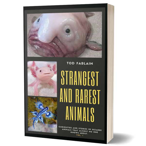 The World’s Strangest and Rarest Animals: Curiosities and Stories of B ...