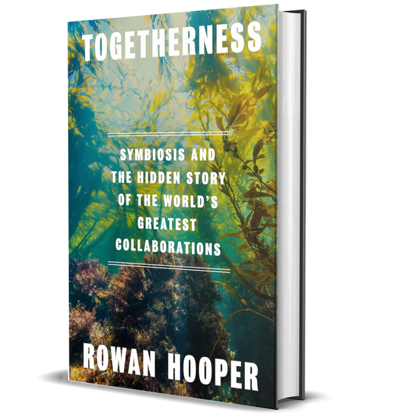 Togetherness: Symbiosis and the Hidden Story of the World’s Greatest Collaborations