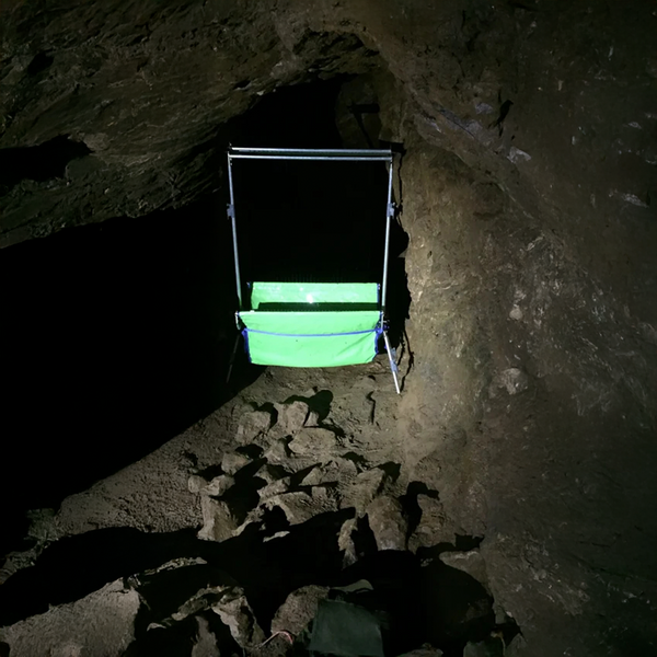 Trampa Arpa Mini Trapr