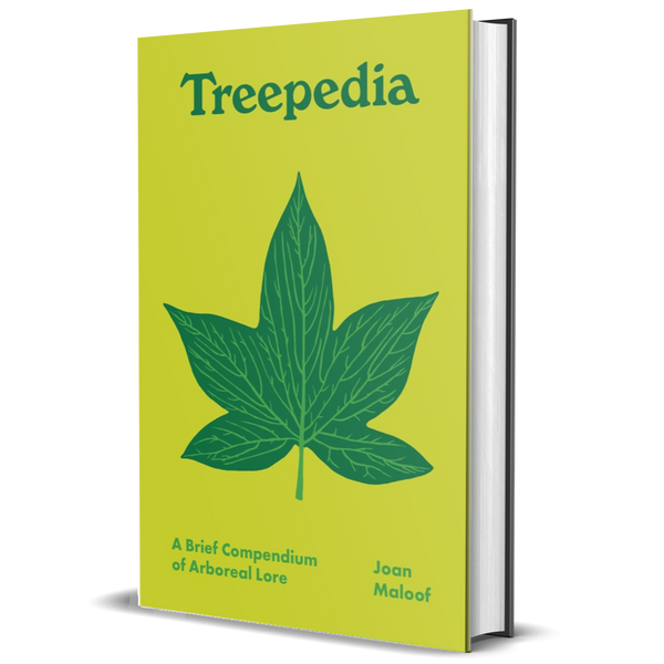 Treepedia: A Brief Compendium of Arboreal Lore