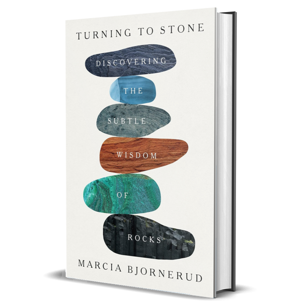 Turning to Stone: Discovering the Subtle Wisdom of Rocks