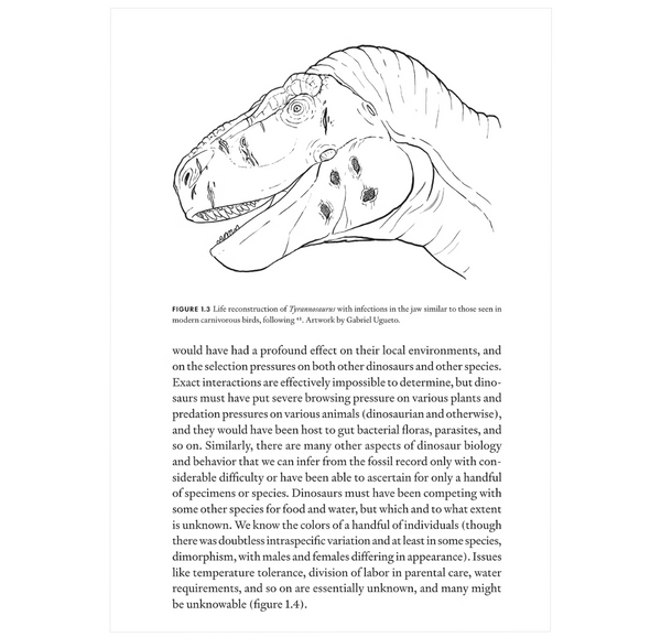 Uncovering Dinosaur Behavior: What They Did and How We Know