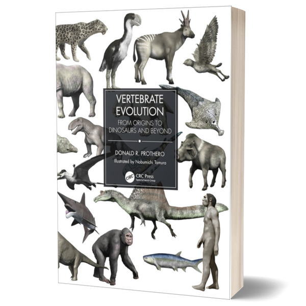 Vertebrate Evolution: From Origins to Dinosaurs and Beyond