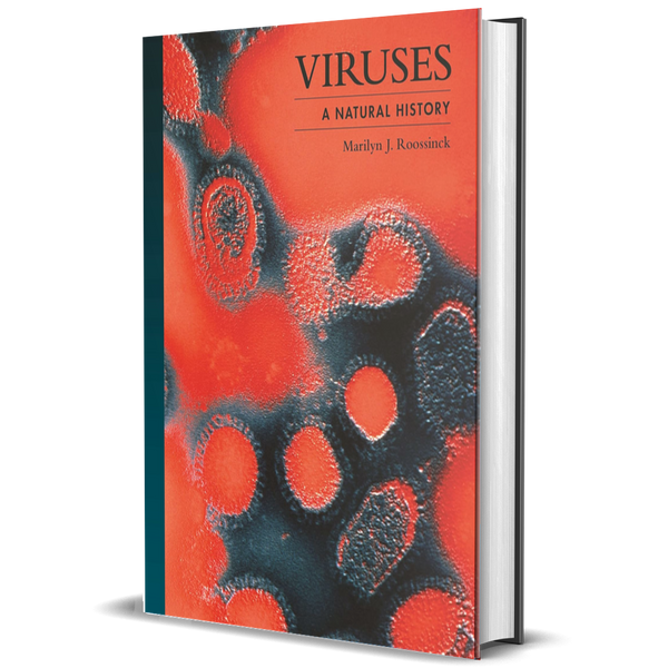 Virus: una historia natural