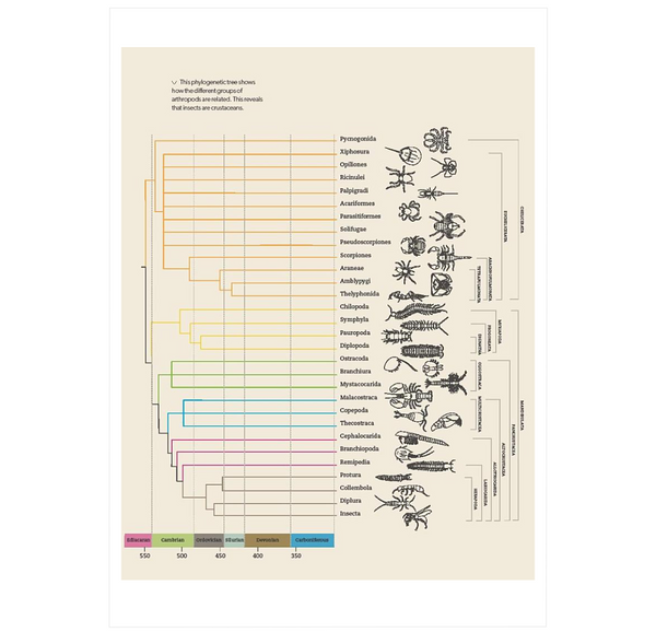 What Insects Do, and Why