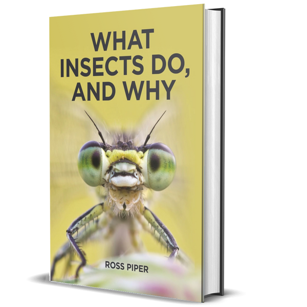 What Insects Do, and Why