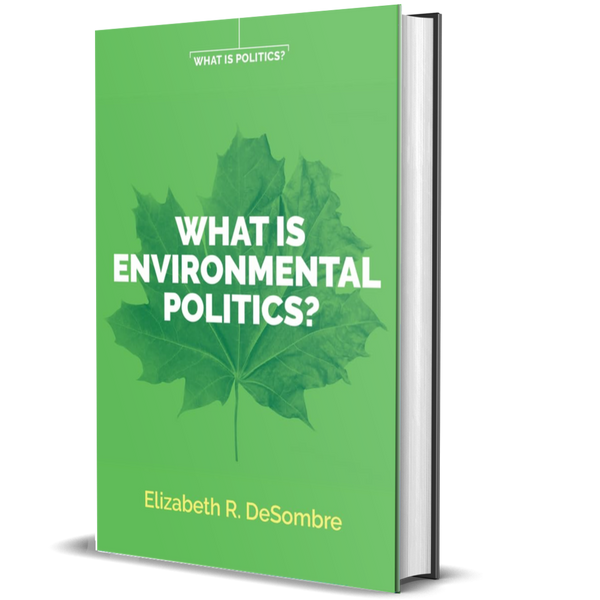 What is Environmental Politics?