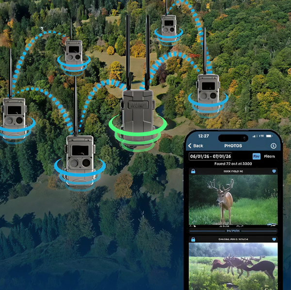 Cámaras de Rastreo Cuddeback CuddeLink L-Series