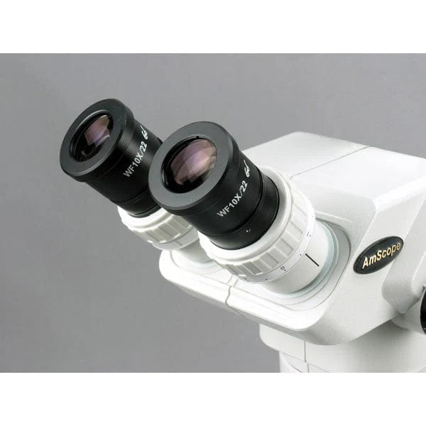 Microscopio Estéreo Binocular AmScope con Soporte de Pluma