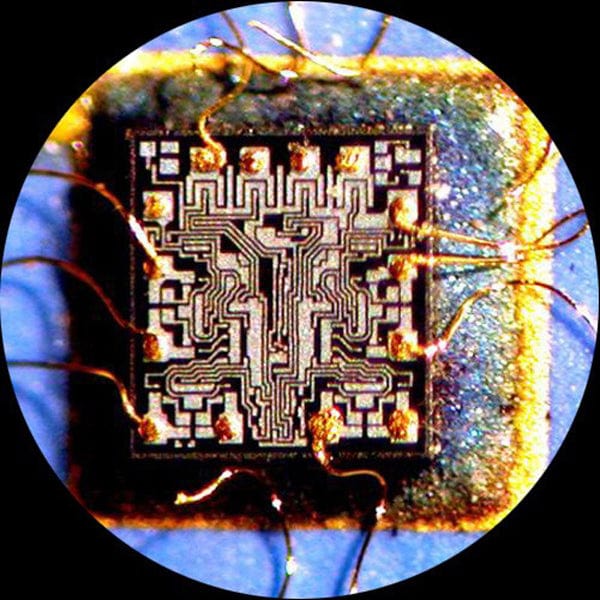 Microscopio Estéreo Binocular AmScope con Soporte de Pluma