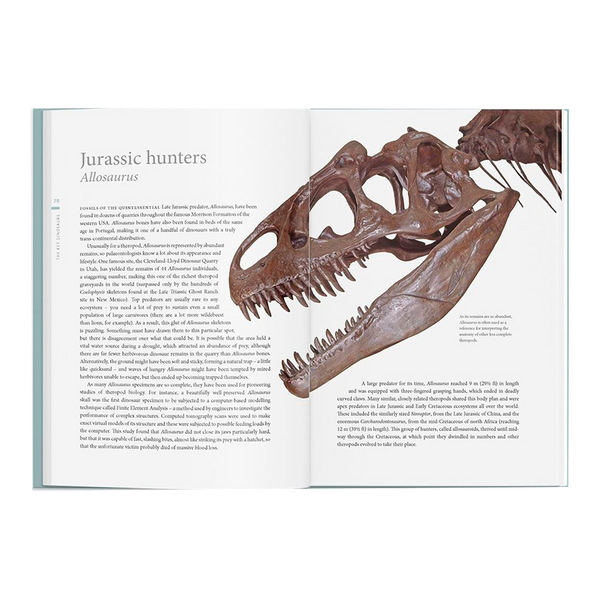 A History of Dinosaurs in 50 Fossils