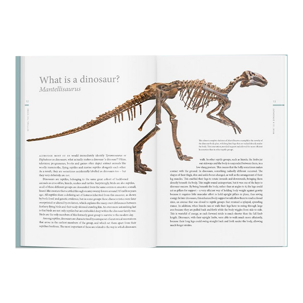 A History of Dinosaurs in 50 Fossils