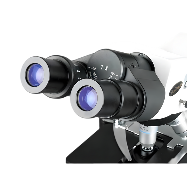 Microscopio Compuesto Binocular AmScope Serie B690 hasta 2500X Iluminación Köhler Óptica Planacromática