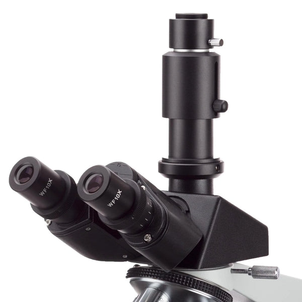 Microscopio Compuesto Trinocular AmScope Hasta 40X-2500X con Cámara Digital