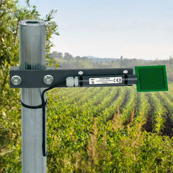 Sensor Smart de Humedad de la Hoja ²⁵