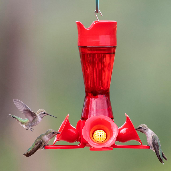 Bebedero para Colibríes Perky-Pet Botella Cintura 8 oz