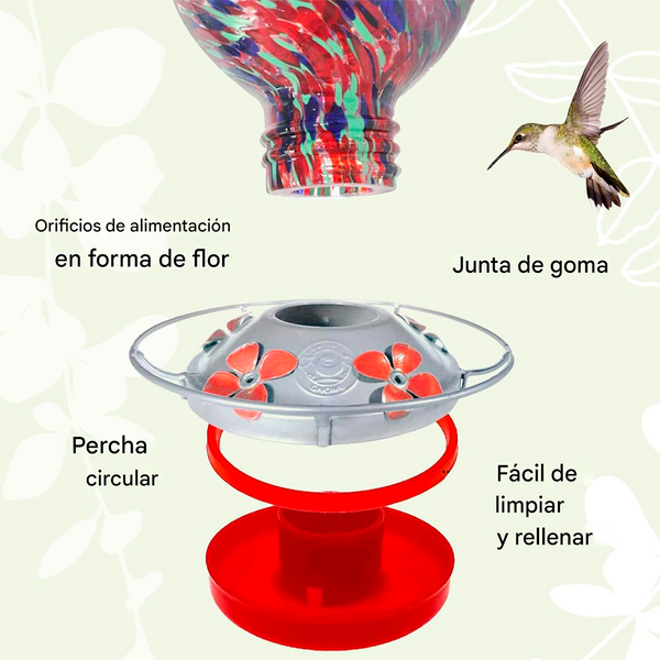 Bebedero para Colibríes Grateful Gnome en Vidrio Soplado Calabaza de Cuello Retorcido 16 oz