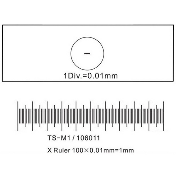 Lámina Micrométrica de Calibración para Microscopios 0,01 mm