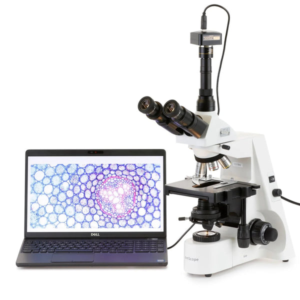 Microscopio Compuesto Trinocular AmScope Serie T690 hasta 2500X Iluminación Köhler Óptica Planacromática