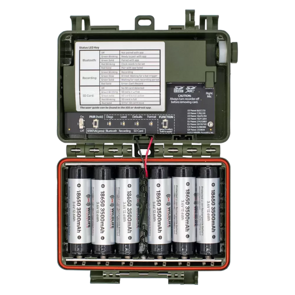 Grabadora Ultrasónica Song Meter Mini Bat 2 Doble LI-ION Wildlife Acoustics