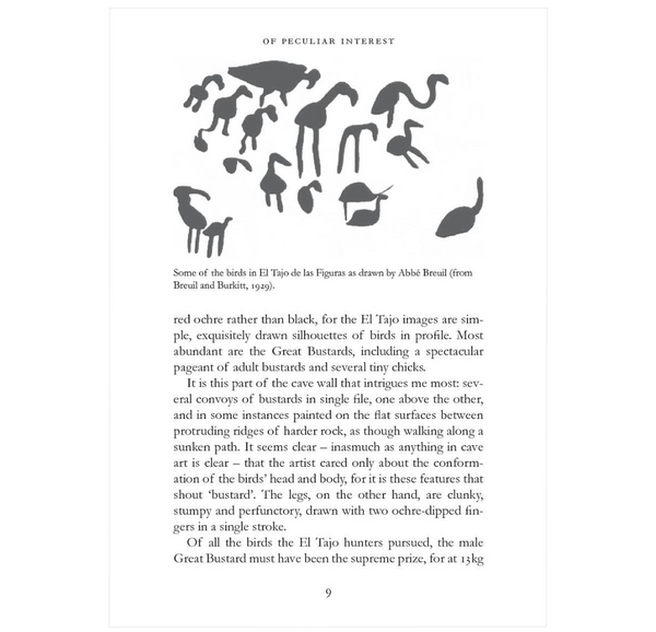 Birds and Us: A 12,000-Year History from Cave Art to Conservation